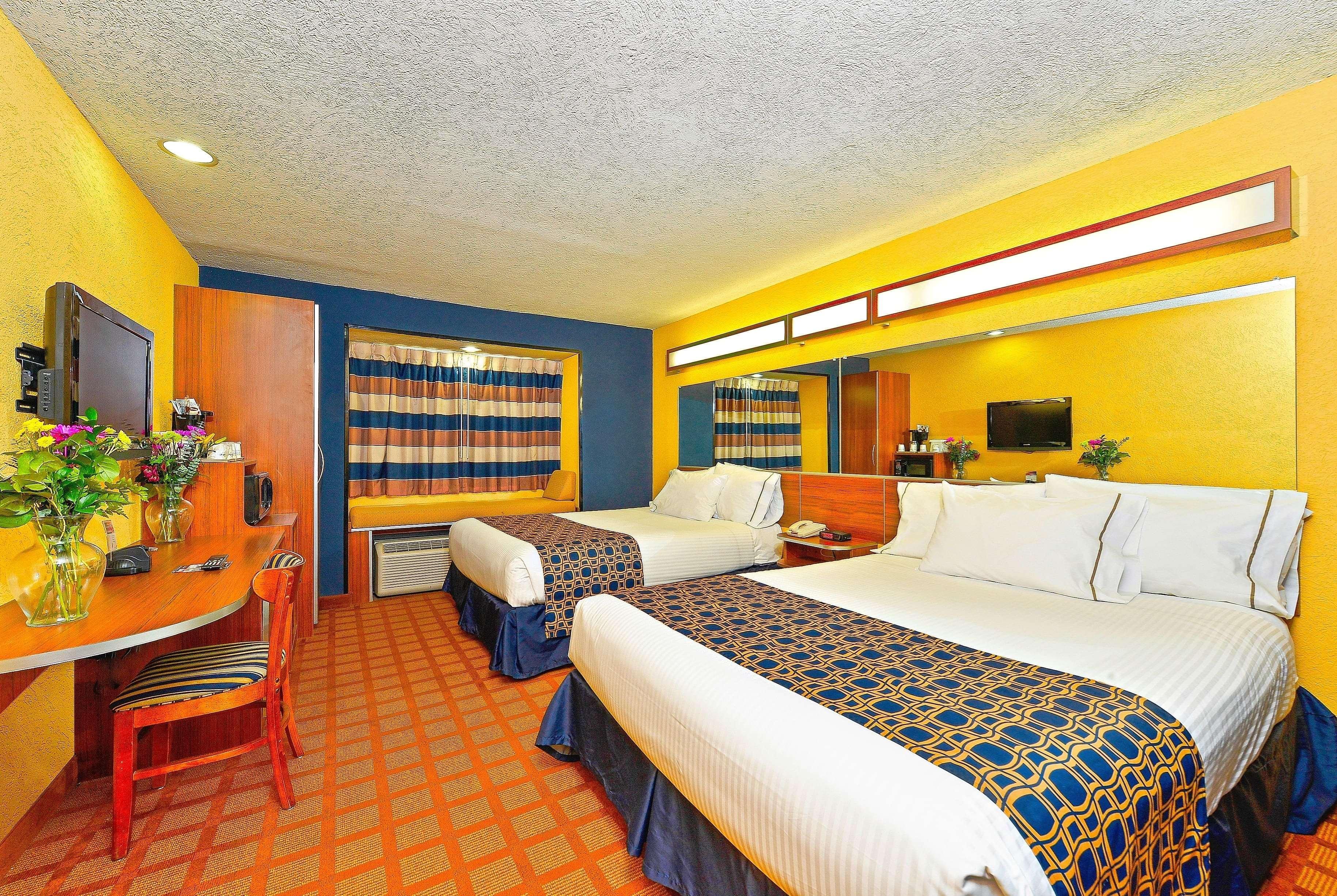 Microtel Inn & Suites By Wyndham New Braunfels I-35 מראה חיצוני תמונה